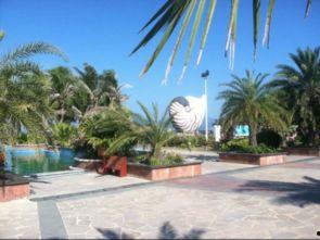 娱乐718吃瓜三亚,三亚吃瓜盛宴，明星幕后故事大曝光！