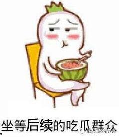 娱乐吃瓜酱家庭纠纷,揭秘明星家庭背后的恩怨情仇